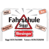 WS_Fahrschule_Biesinger