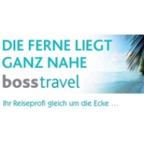 WS_boss_travel